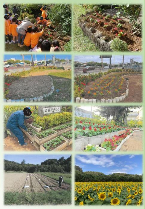 緑化活動写真2