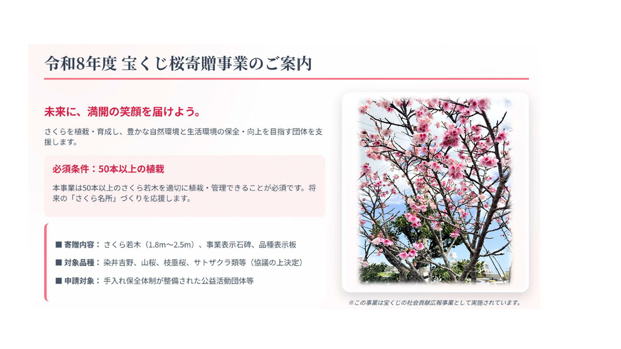 桜寄贈事業