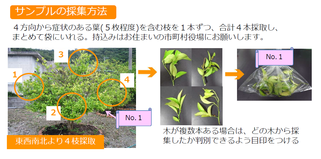 サンプルの採取方法