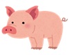 buta2
