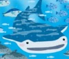 jinbei_img