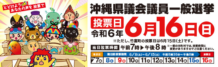 沖縄県議会議員一般選挙