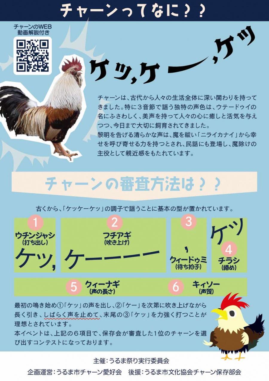 チャーンチラシ裏