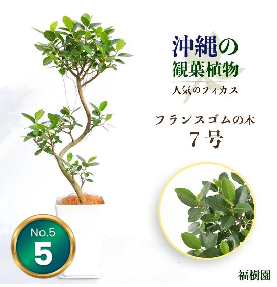 5位