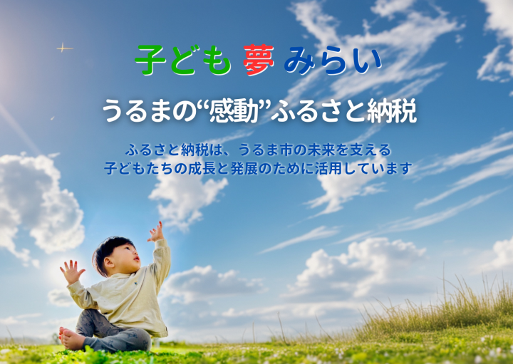 ふるさと納税