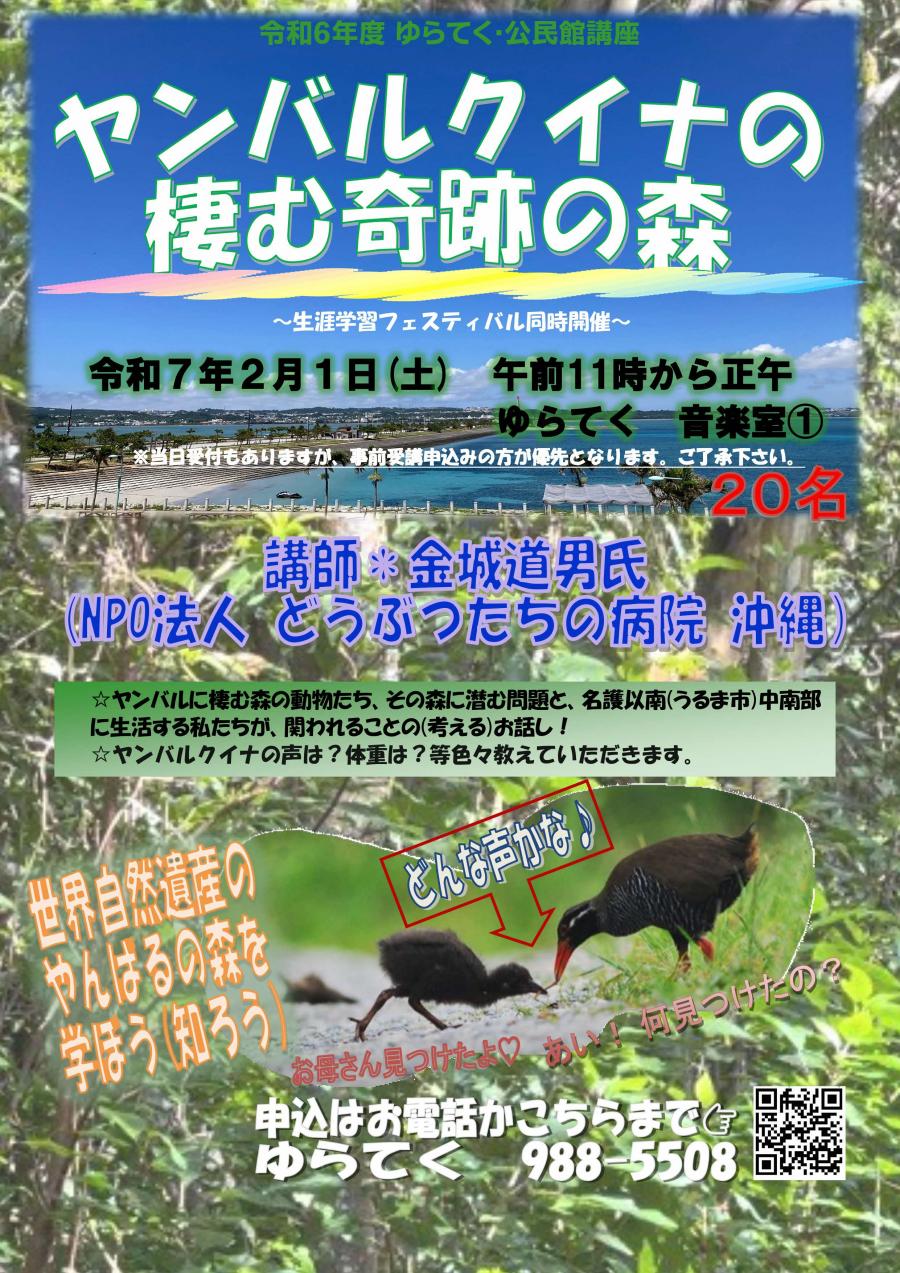 フェスやんばるくいな