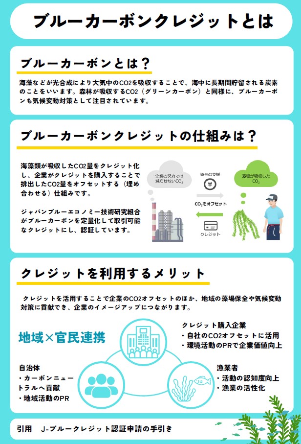 ブルーカーボンクレジット概要