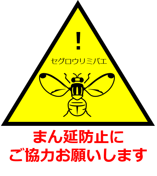 セグロウリミバエ
