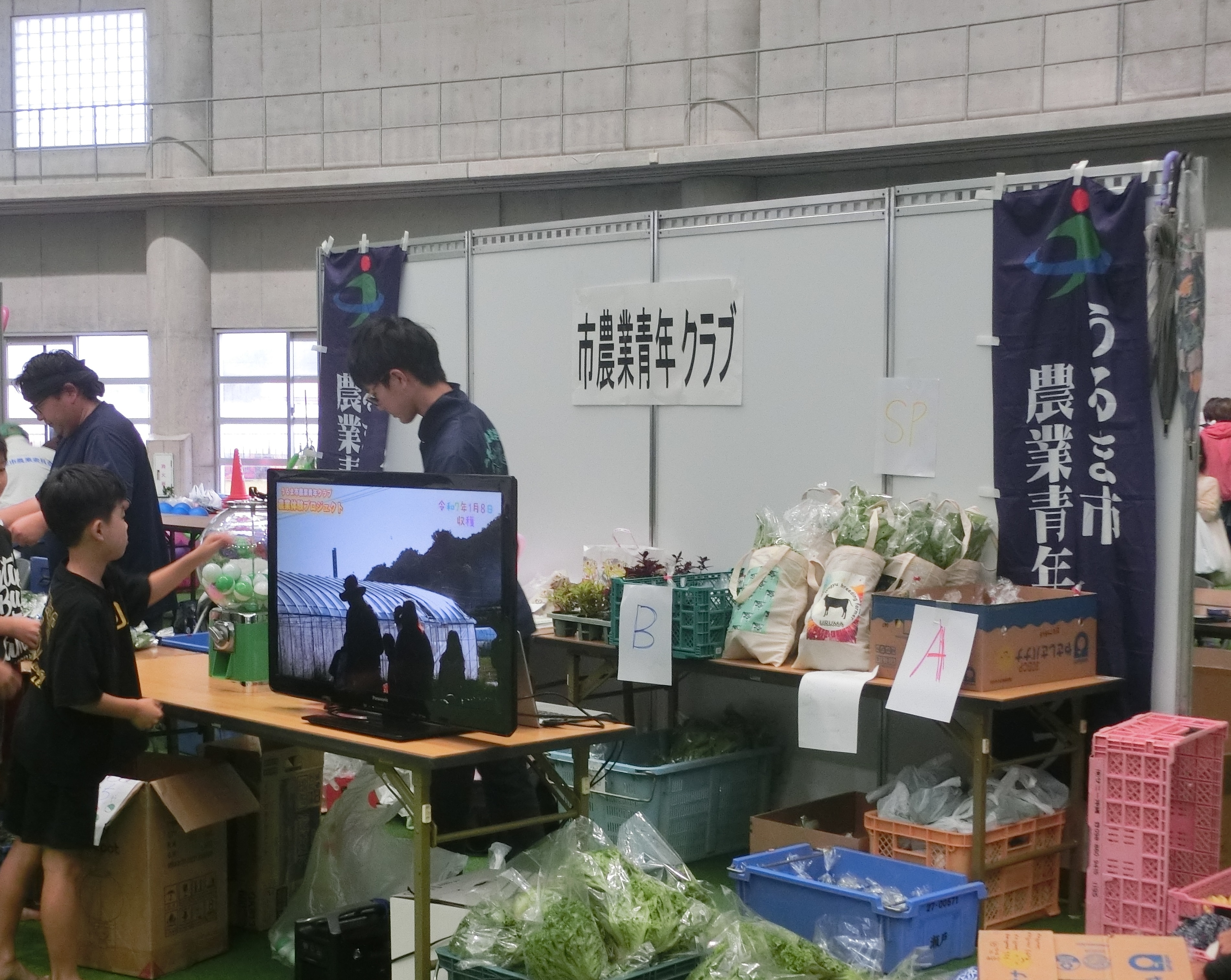 農業青年クラブ