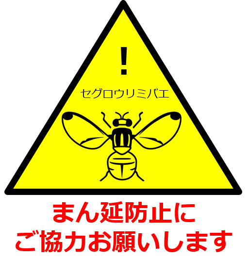 セグロイメージ