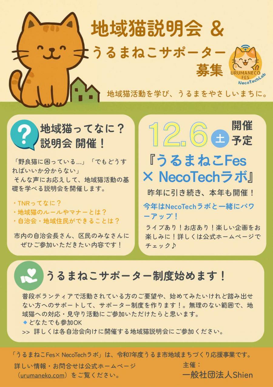 うるまねこ