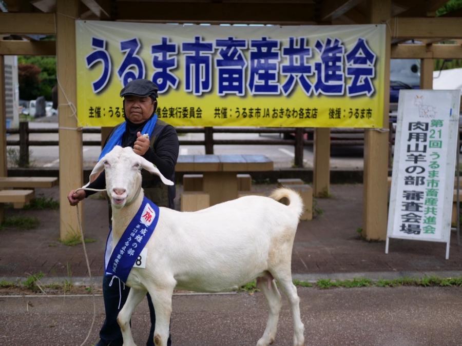 入賞者（山羊）