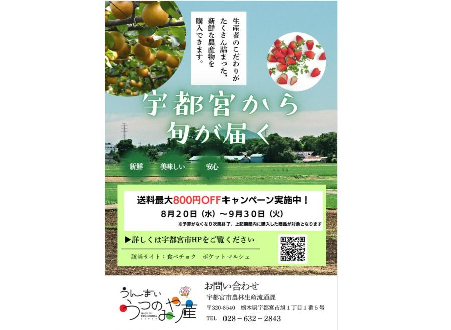 うつのみやキャンペーン