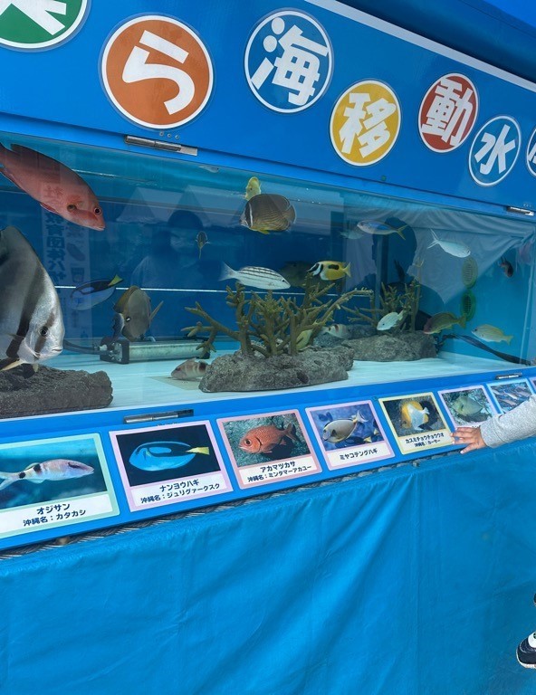 移動水族館
