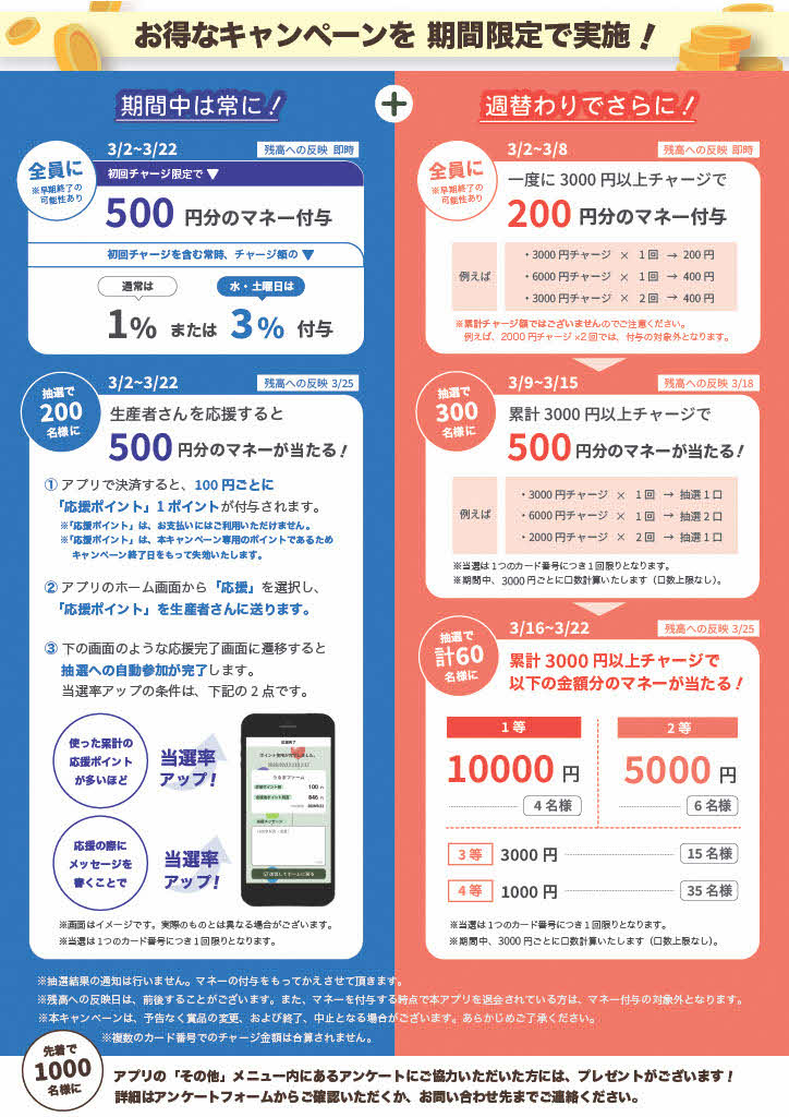 チラシ裏（うるまるペイ）