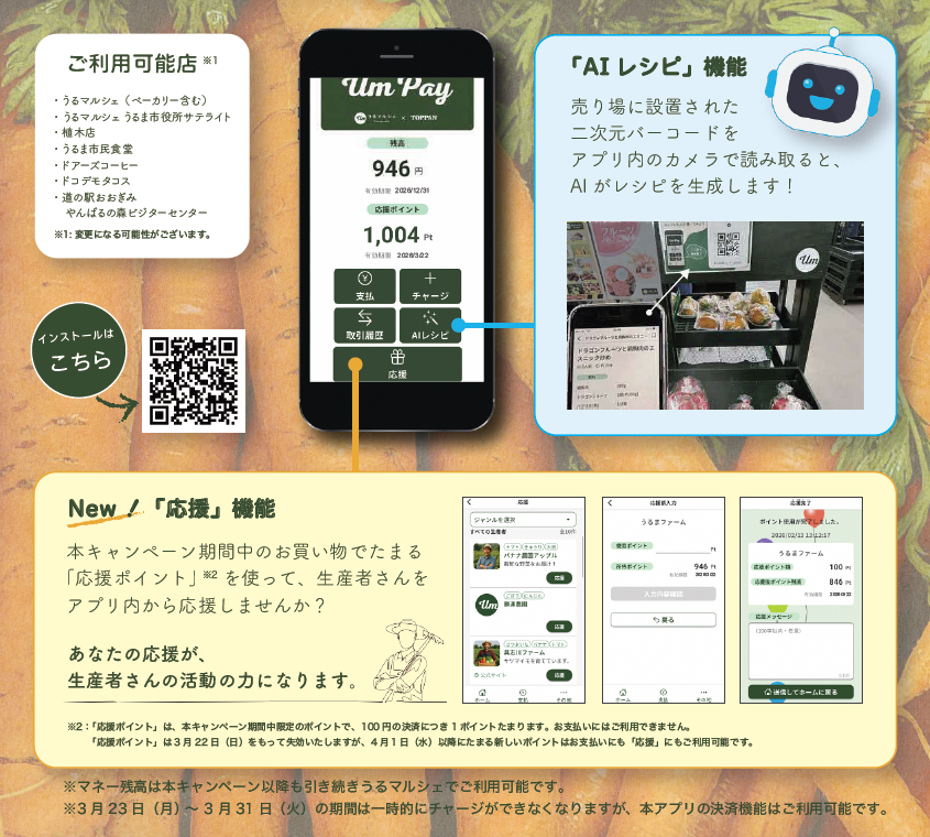 概要(うるまるペイ)