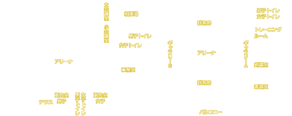 石川体育館 グランド